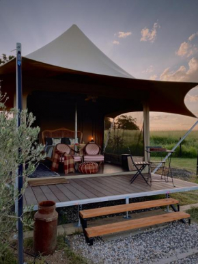 The Forager Glamping at Twigley Farm
